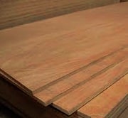 Wood and Wood Derivatives